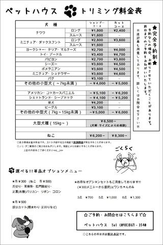 4月9日の記事