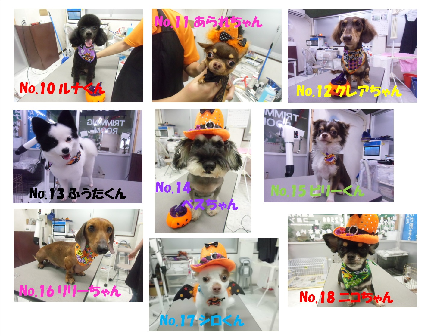HAPPY HALLOWEEN フォトコンテスト ノミネートその2