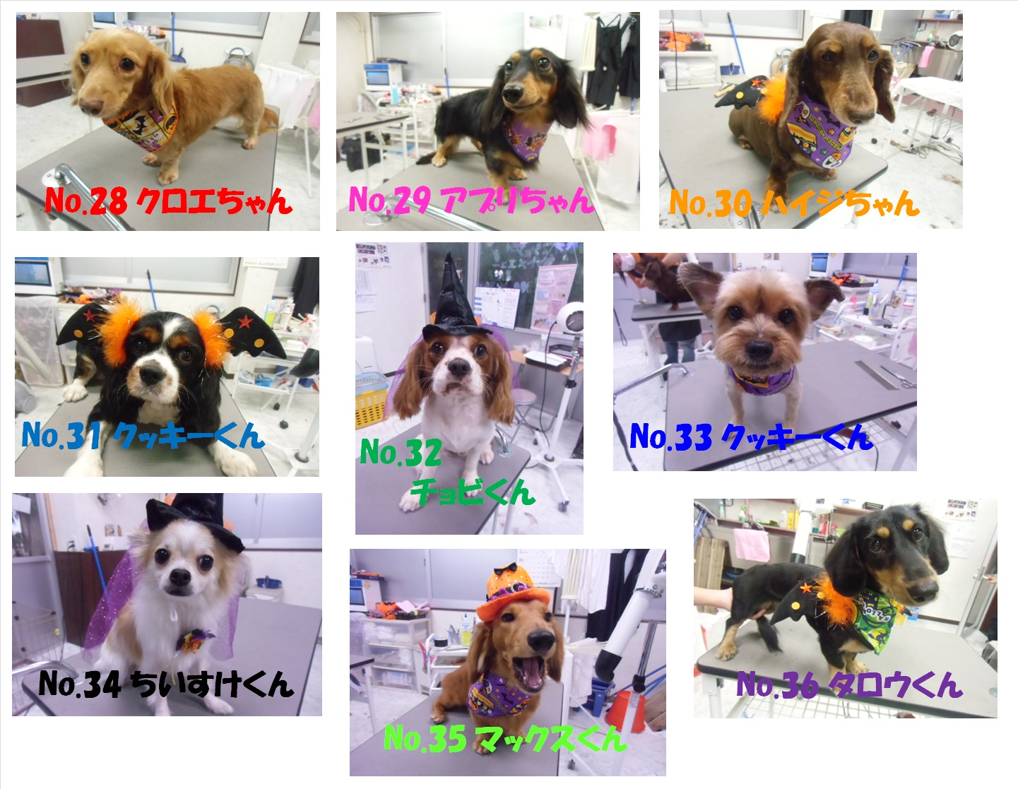 HAPPY HALLOWEEN フォトコンテスト ノミネートその4
