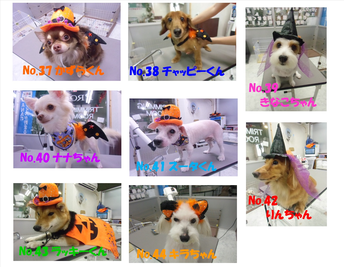 HAPPY HALLOWEEN フォトコンテスト ノミネートその5