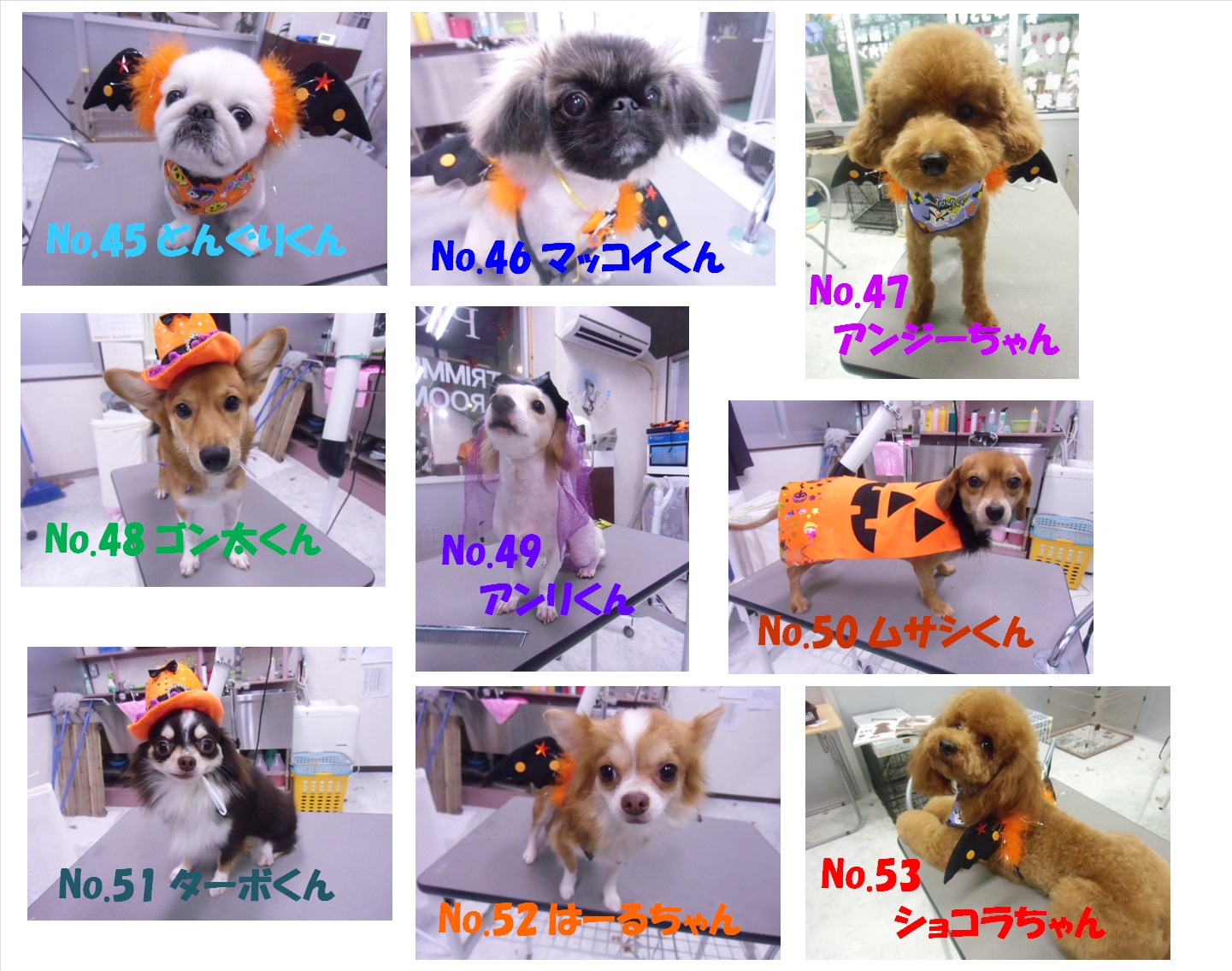 HAPPY HALLOWEEN フォトコンテスト ノミネートその6
