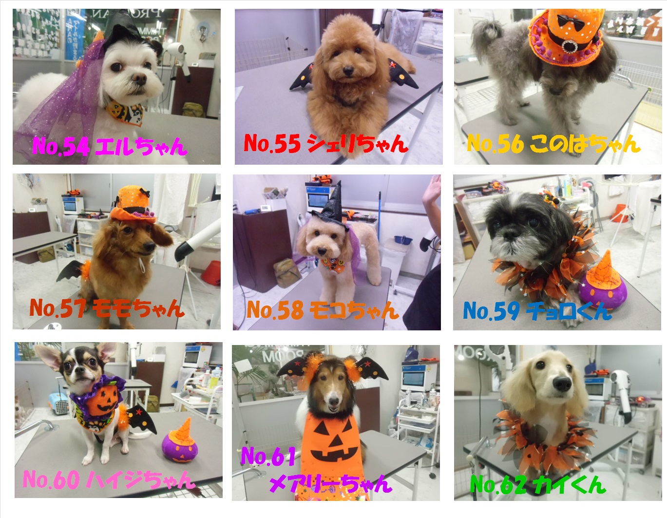 HAPPY HALLOWEEN フォトコンテスト ノミネートその7