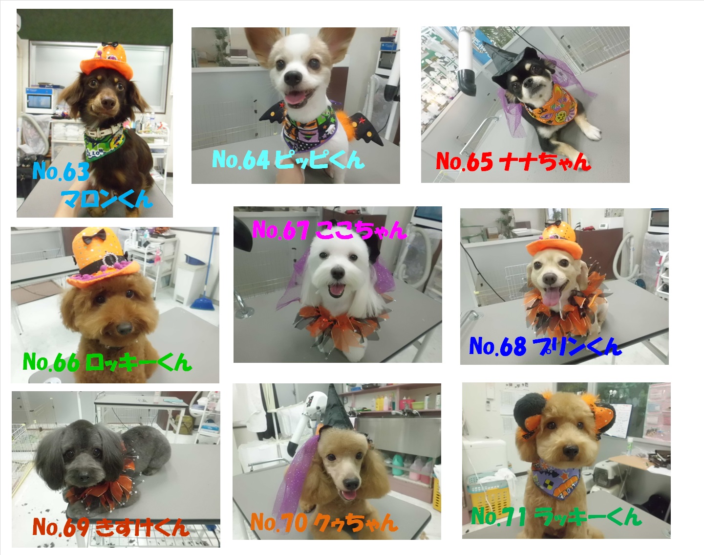 HAPPY HALLOWEEN フォトコンテスト ノミネートその8