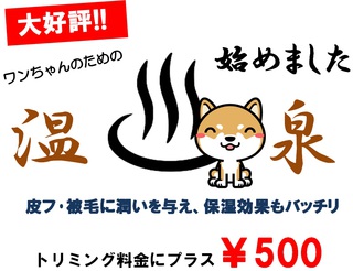 イチオシ!!!