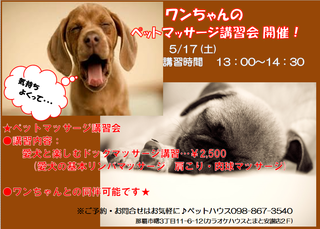 ★ペットマッサージ★