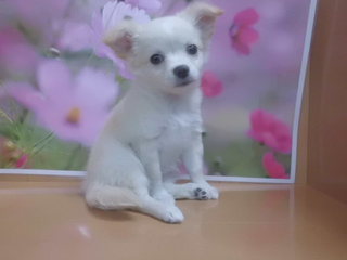 家族が決まりました♪
