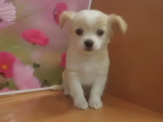 家族が決まりました♪