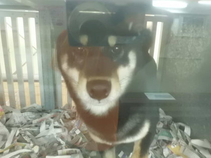 残りわずか!!