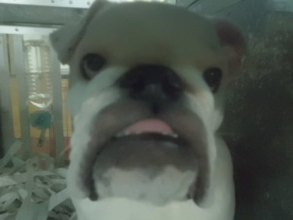 残りわずか!!