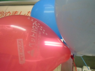 いよいよ明日です!!!!!!!!!!!