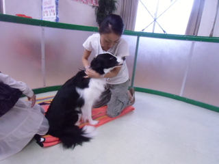 いよいよ明日まで～