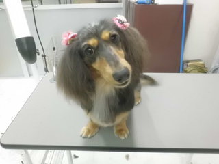★ありがとうございましたぁ★