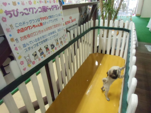 ☆気ままに運動～☆