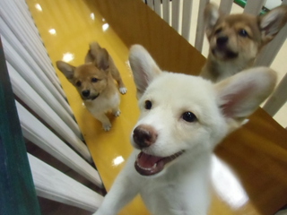☆ラジオ収録☆