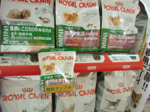 無料サンプル～☆