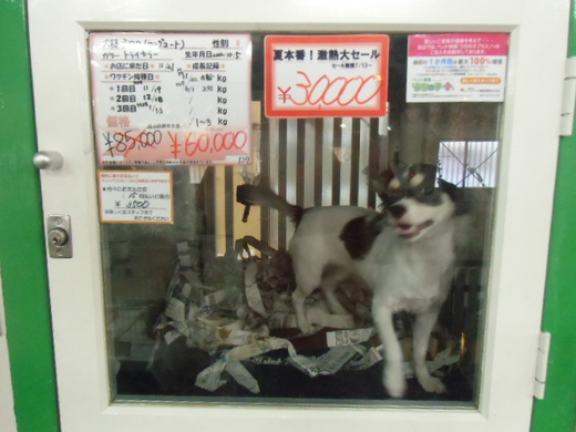 セール延長中～！！