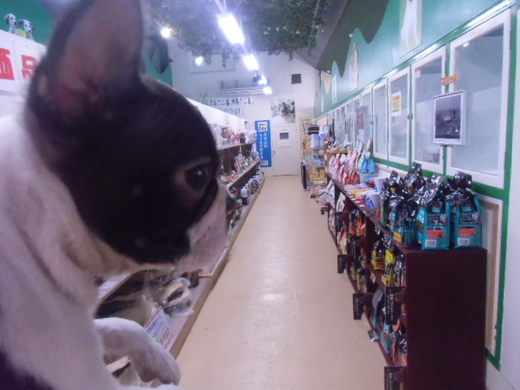 ☆店内紹介☆