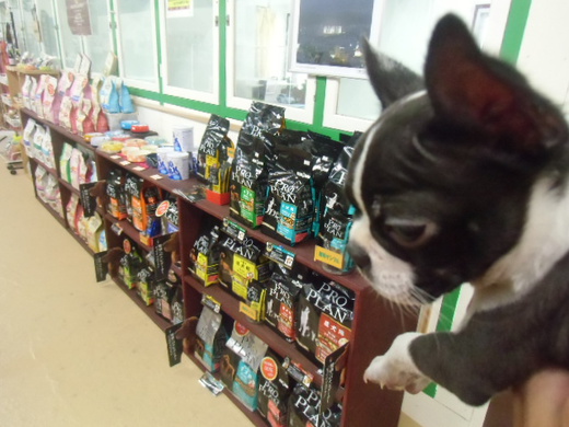 ☆店内紹介☆
