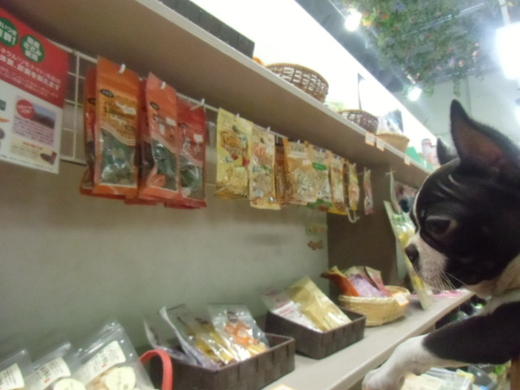 ☆店内紹介☆