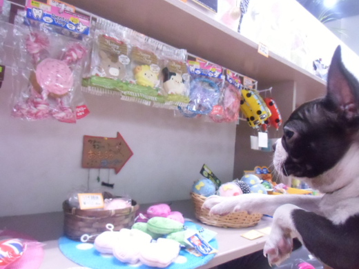 ☆店内紹介☆