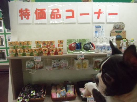 ☆店内紹介☆