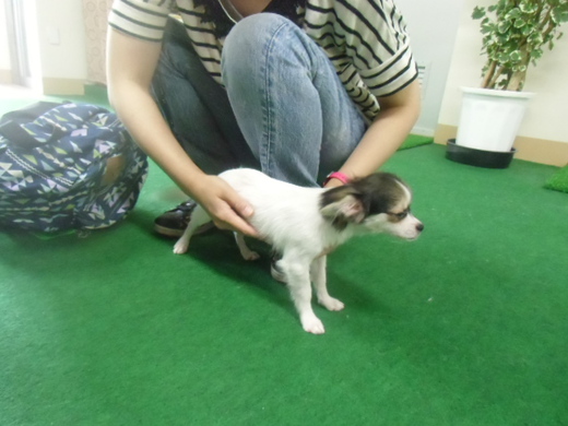 ☆新しい家族は☆
