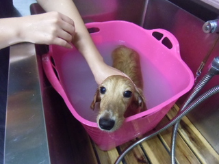 ☆急げ!!!!!!!!!☆