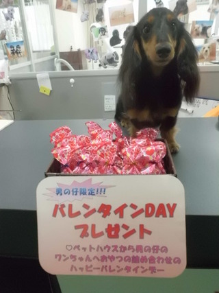 イベント開催中ですよ～