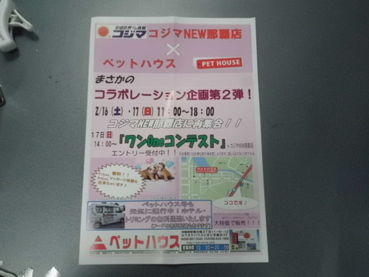 イベントのチラシが届きました～☆
