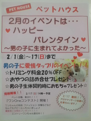 イベント二日目ですよ～