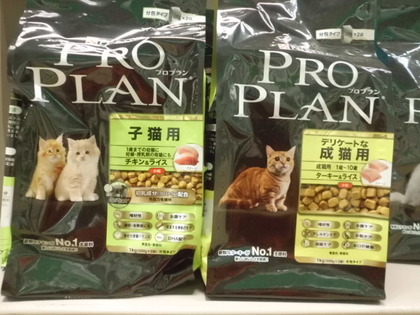 猫フード入荷で～す!!