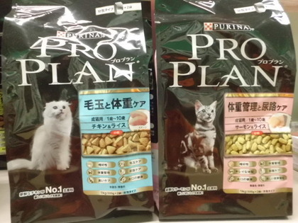 猫フード入荷で～す!!