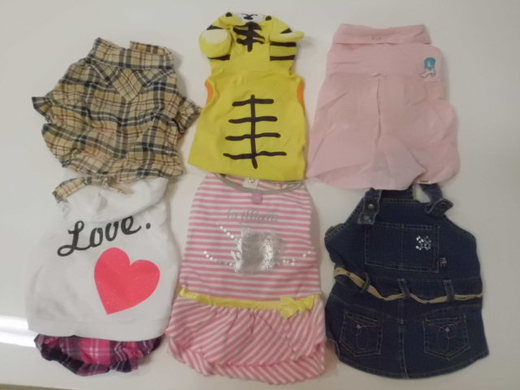 ★ワンちゃんの洋服貸出します★