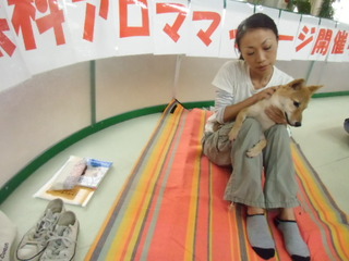 出張営業中です^m^