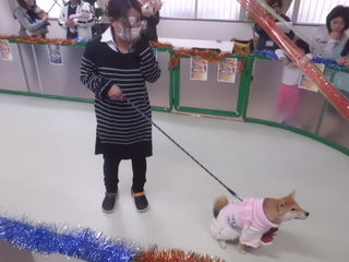 ★　ファッションショー　★