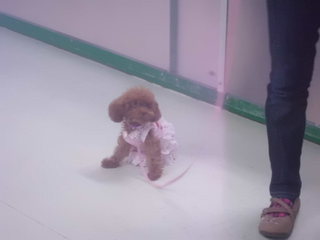 ★　ファッションショー　★