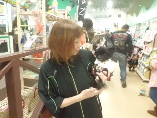 ★　ファッションショー　★