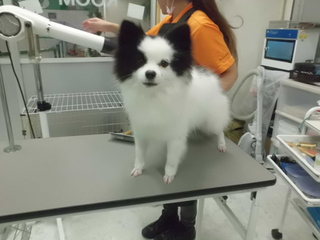 お正月も変わりなく･･･^m^