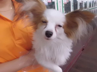 ★あったかほっこりセール★