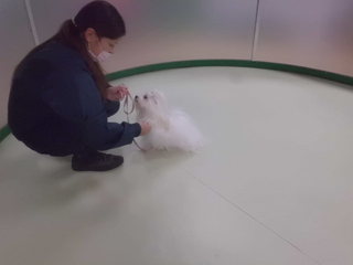 トレーニングなう★