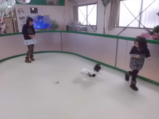 本日のパピーパティーは☆