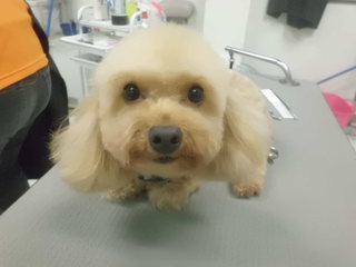 今日のお友達紹介