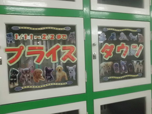残りわずか!!