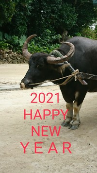 謹賀新年 ２０２１