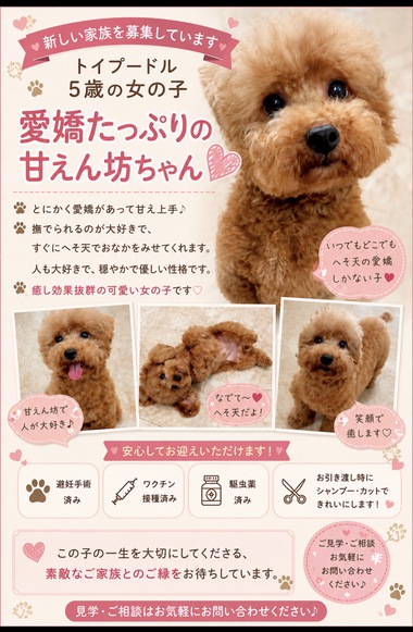 フレンチブルドッグと、トイプードル専門のpias（ぴあす）です。自家