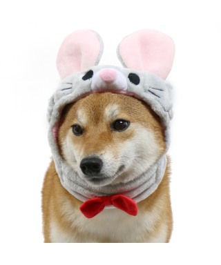✨謹賀新年✨２０２０今年も宜しくお願い致します❗