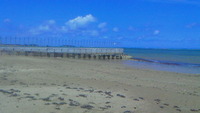辺野古の海