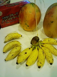 島バナナ 2011/11/04 08:18:56