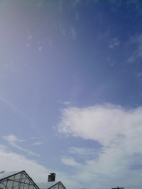 青い空白い雲 2011/11/18 13:35:08