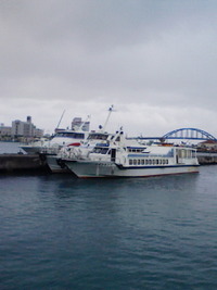 離島ターミナル